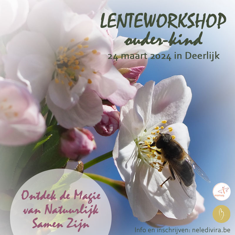 neledivira_workshops_kamp_volwassenen_lente_affiche